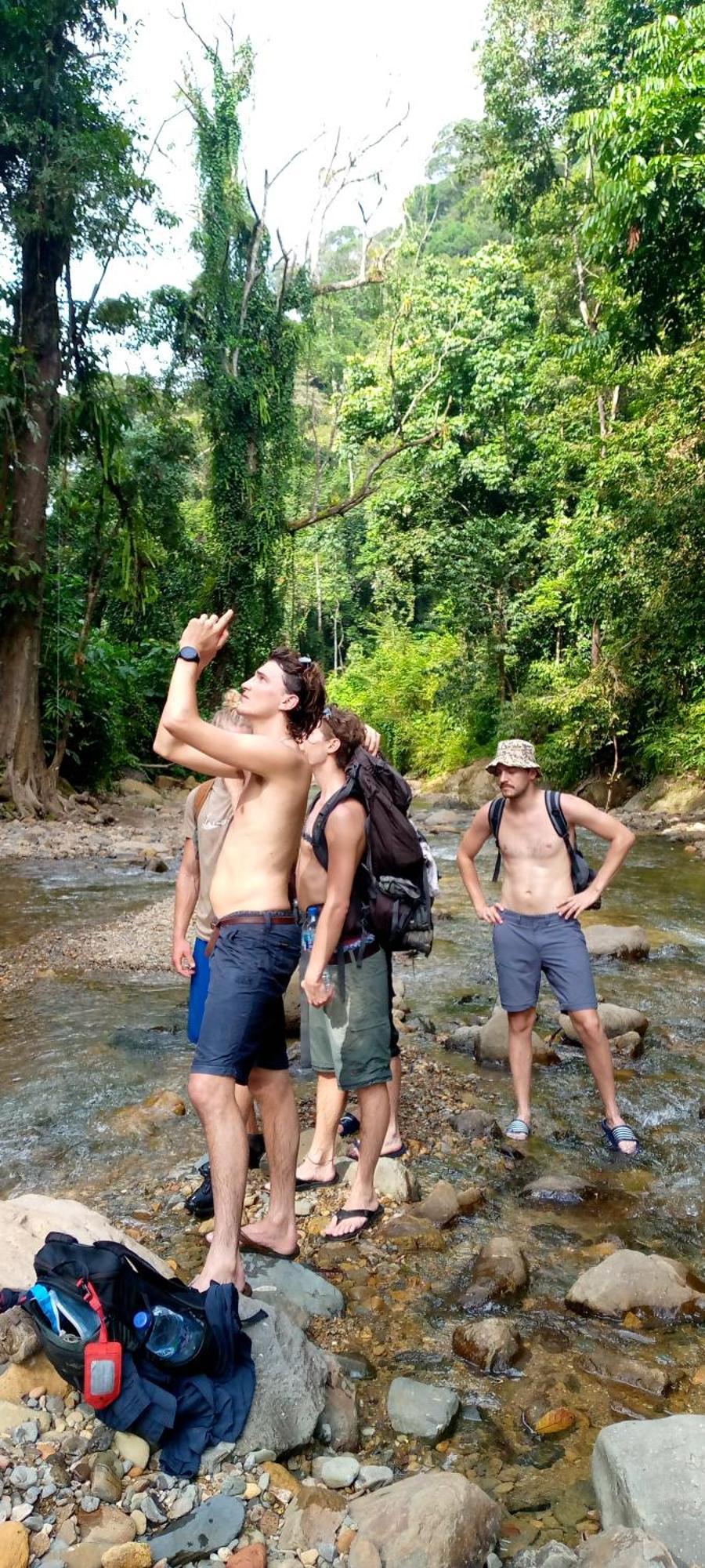 Asim Paris Guesthouse & Jungle Trekking بوكيت لاوانج المظهر الخارجي الصورة