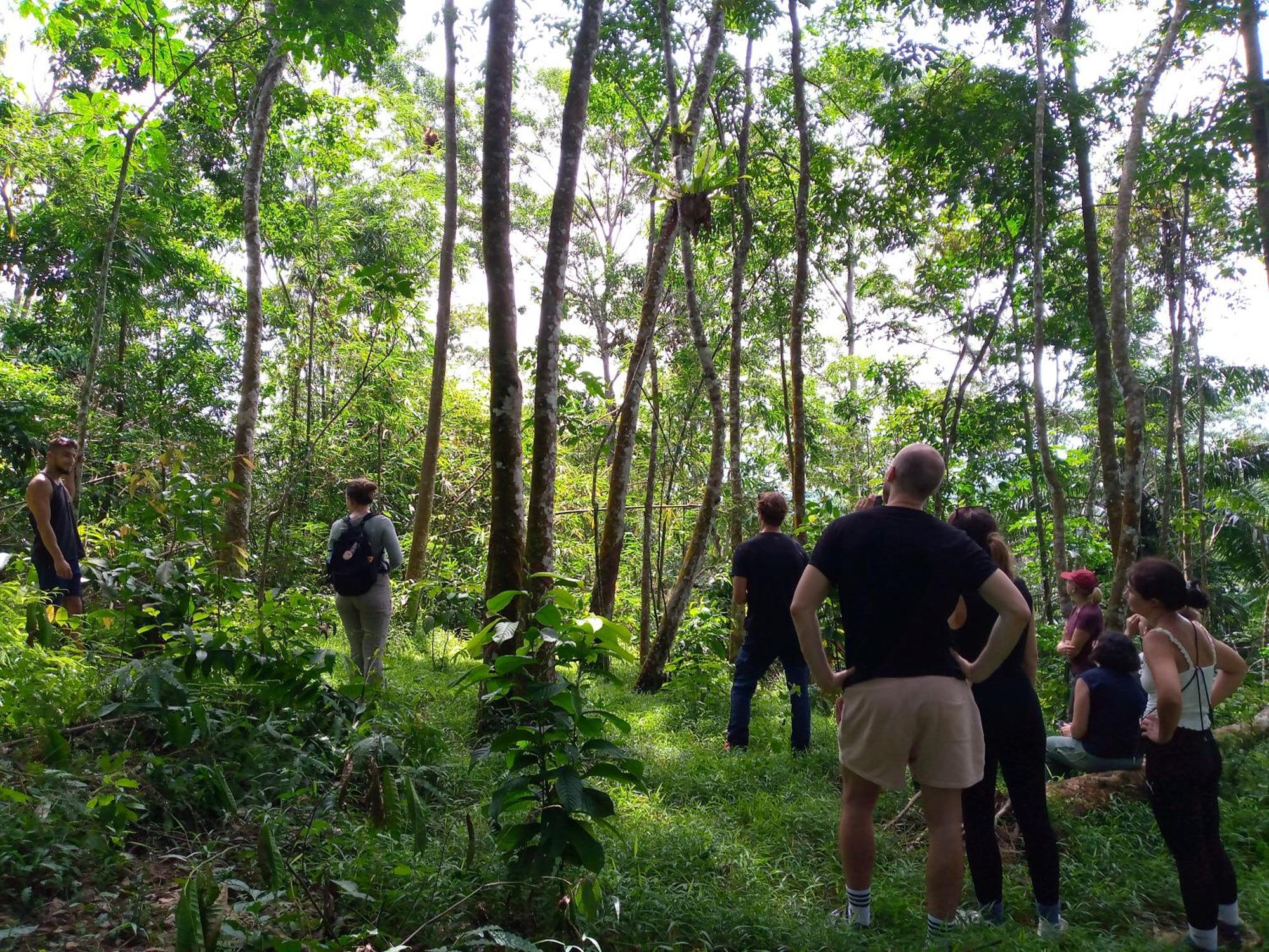 Asim Paris Guesthouse & Jungle Trekking بوكيت لاوانج المظهر الخارجي الصورة