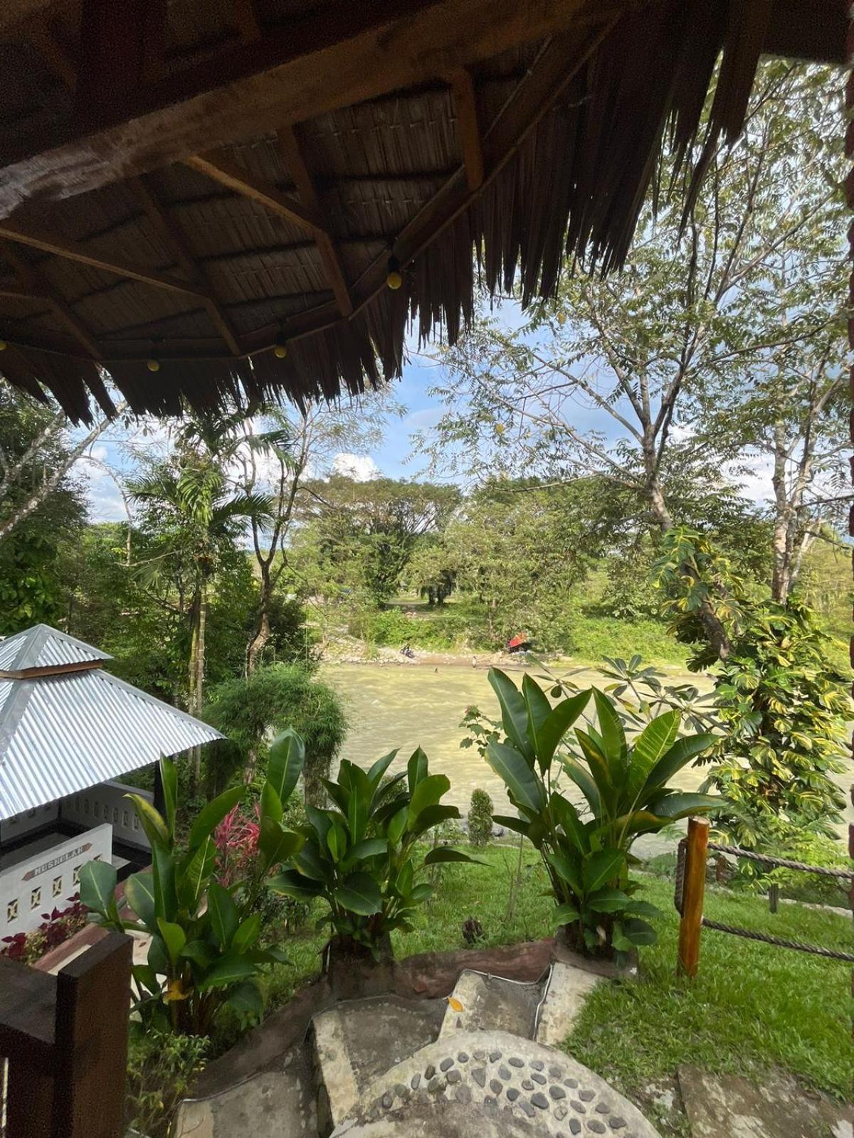 Asim Paris Guesthouse & Jungle Trekking بوكيت لاوانج المظهر الخارجي الصورة