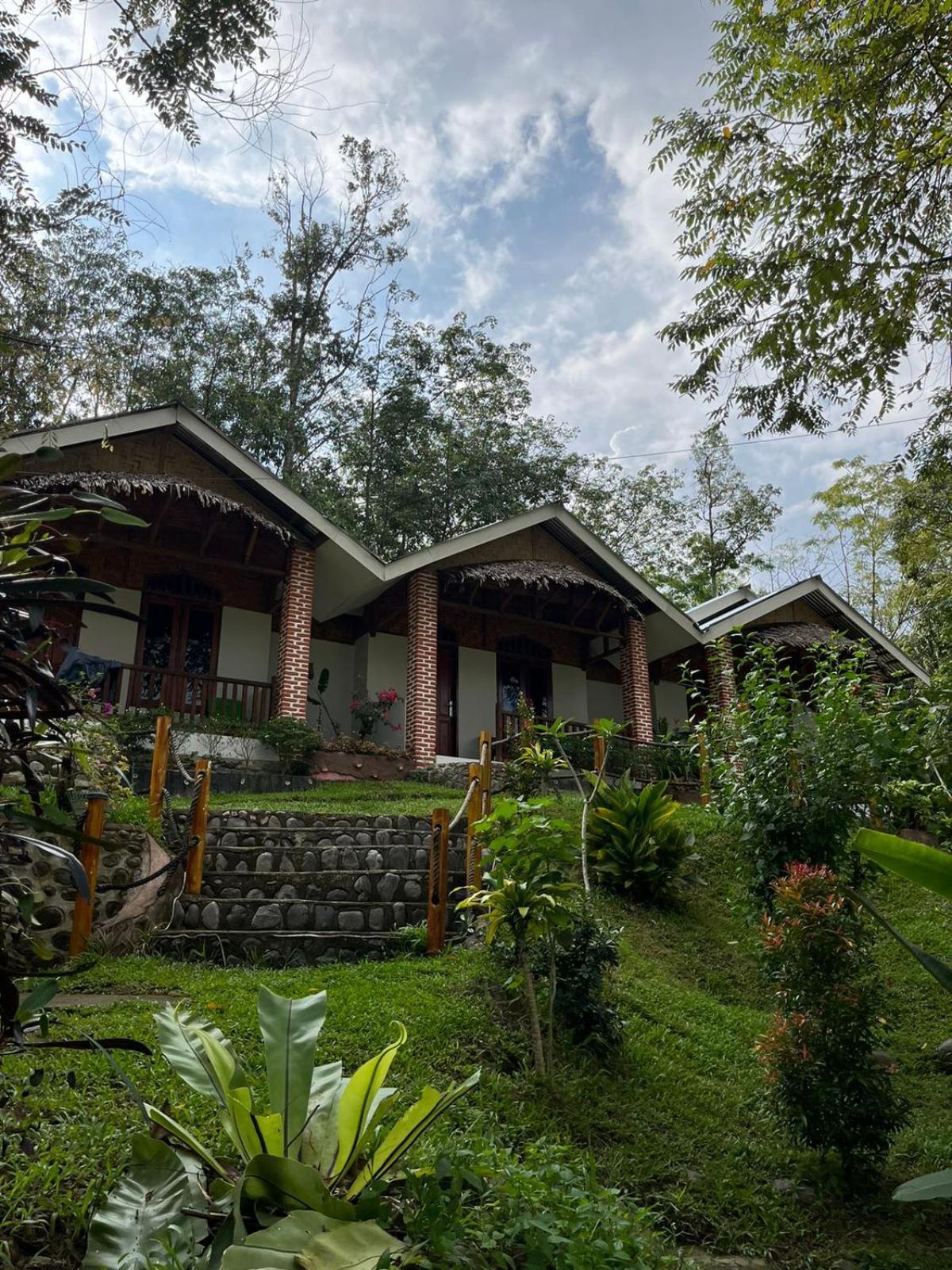 Asim Paris Guesthouse & Jungle Trekking بوكيت لاوانج المظهر الخارجي الصورة