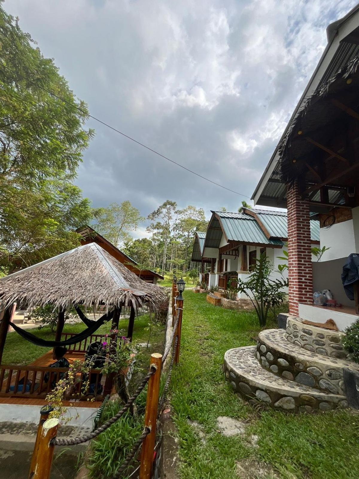 Asim Paris Guesthouse & Jungle Trekking بوكيت لاوانج المظهر الخارجي الصورة