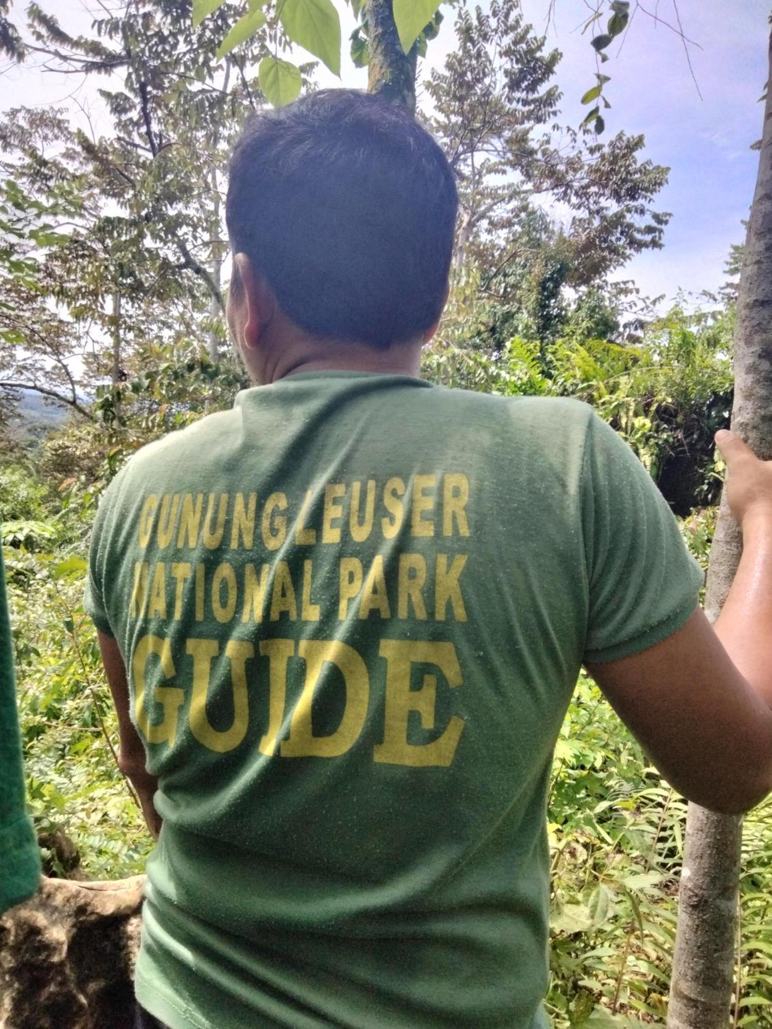 Asim Paris Guesthouse & Jungle Trekking بوكيت لاوانج المظهر الخارجي الصورة