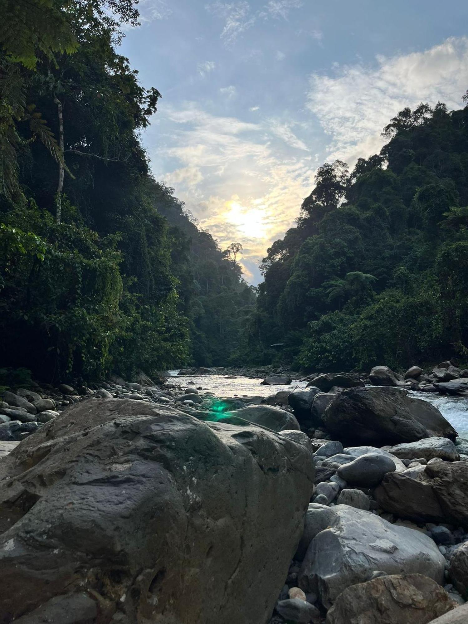 Asim Paris Guesthouse & Jungle Trekking بوكيت لاوانج المظهر الخارجي الصورة