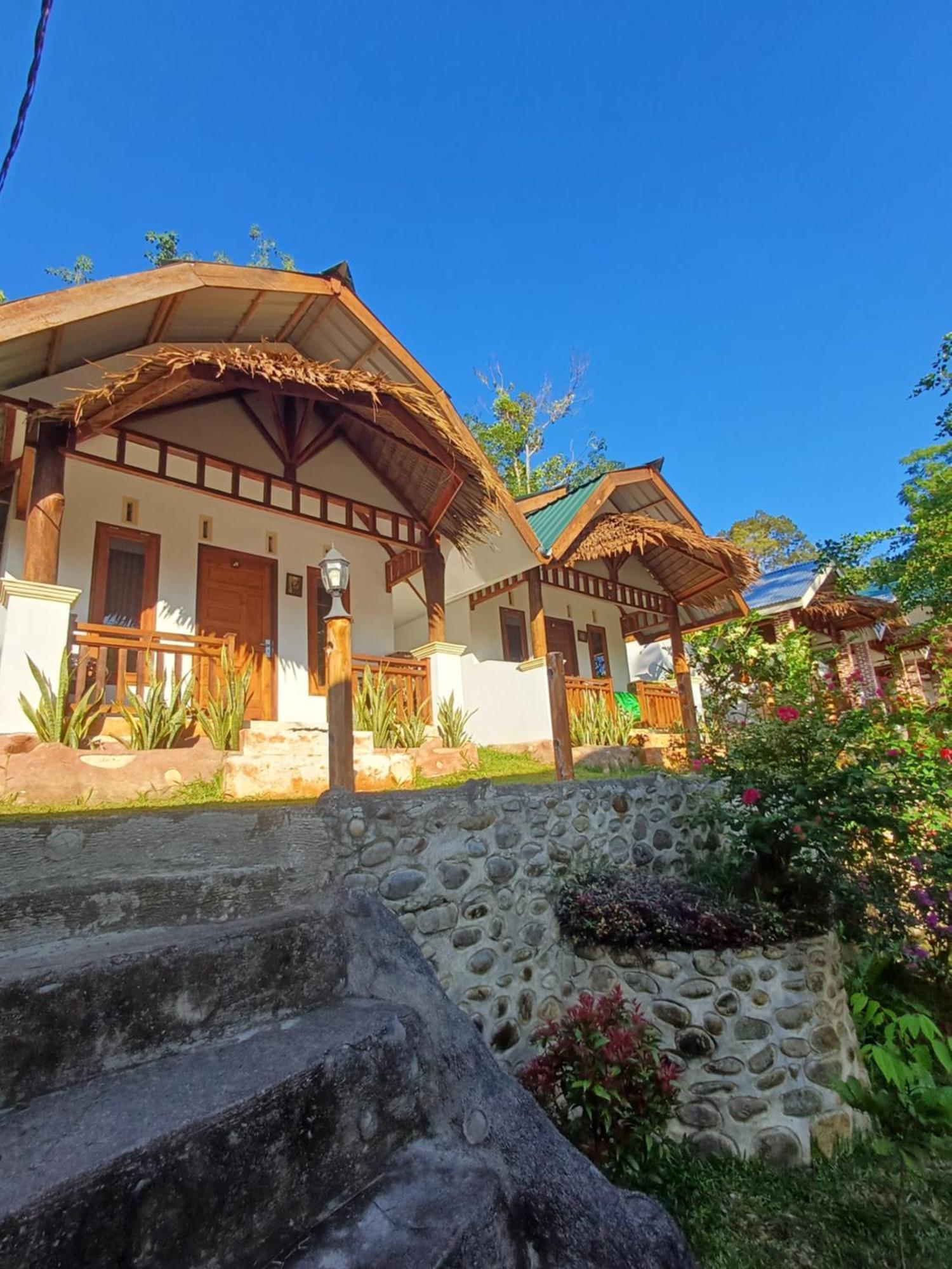 Asim Paris Guesthouse & Jungle Trekking بوكيت لاوانج المظهر الخارجي الصورة