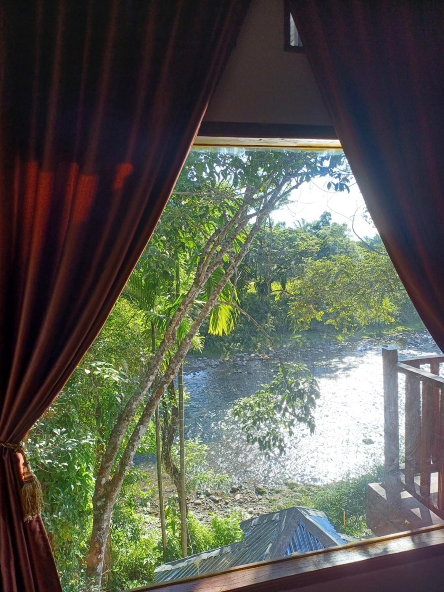 Asim Paris Guesthouse & Jungle Trekking بوكيت لاوانج المظهر الخارجي الصورة