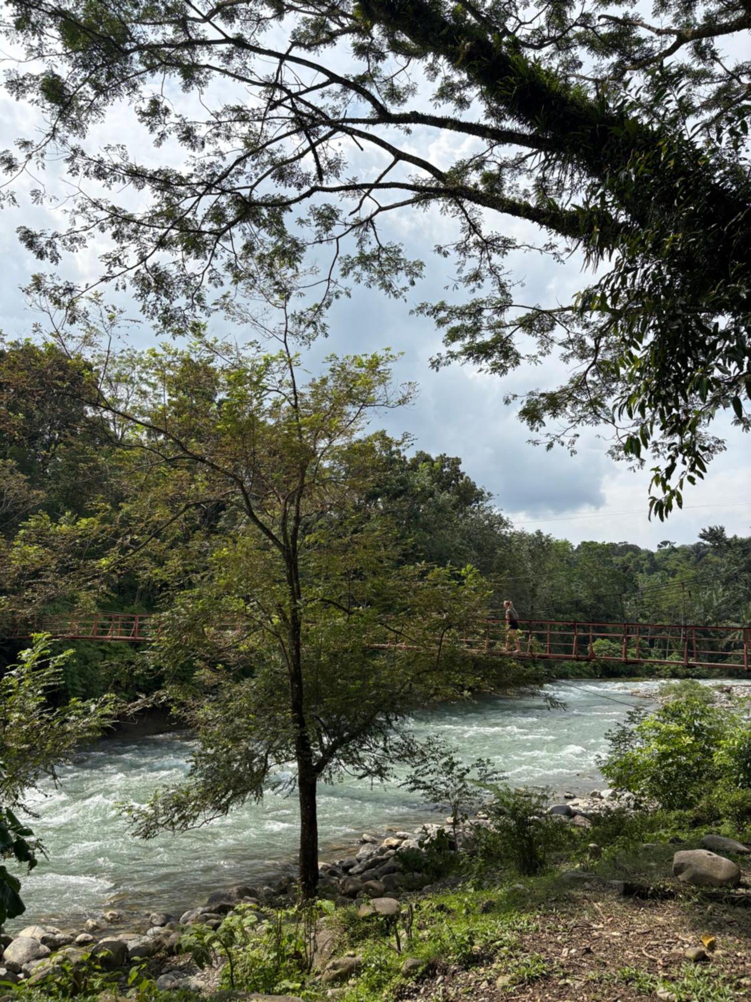 Asim Paris Guesthouse & Jungle Trekking بوكيت لاوانج المظهر الخارجي الصورة