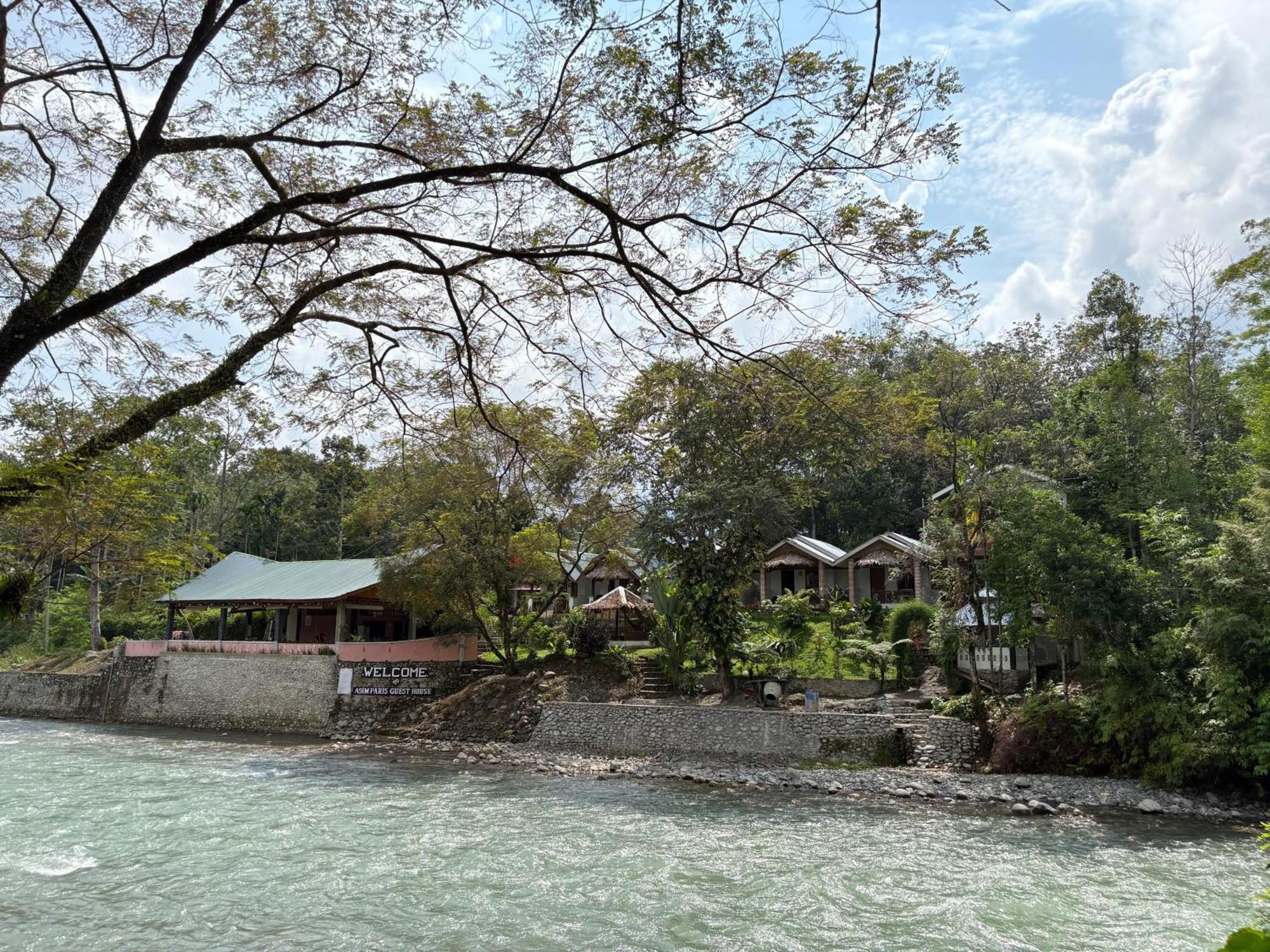 Asim Paris Guesthouse & Jungle Trekking بوكيت لاوانج المظهر الخارجي الصورة