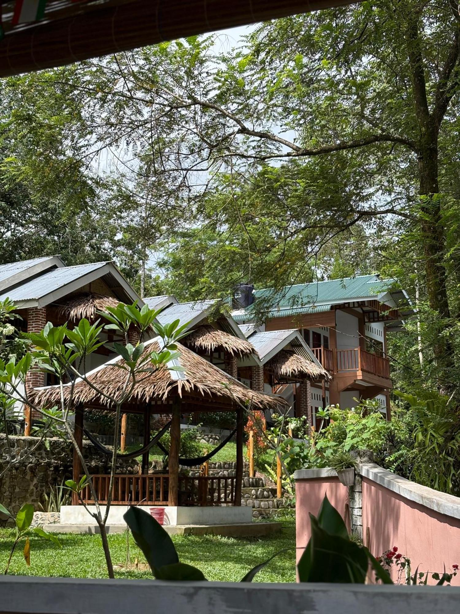 Asim Paris Guesthouse & Jungle Trekking بوكيت لاوانج المظهر الخارجي الصورة